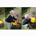garden water
